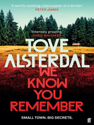 cover image of We Know You Remember: the No. 1 International Bestseller